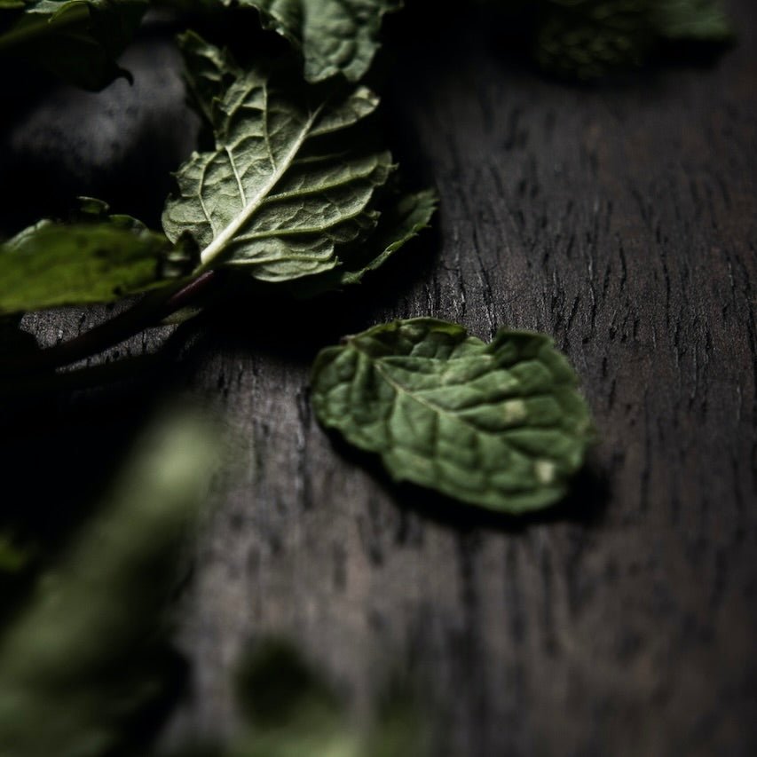 Sunday Gardening Scented Candle - The Finishing Store South Africa