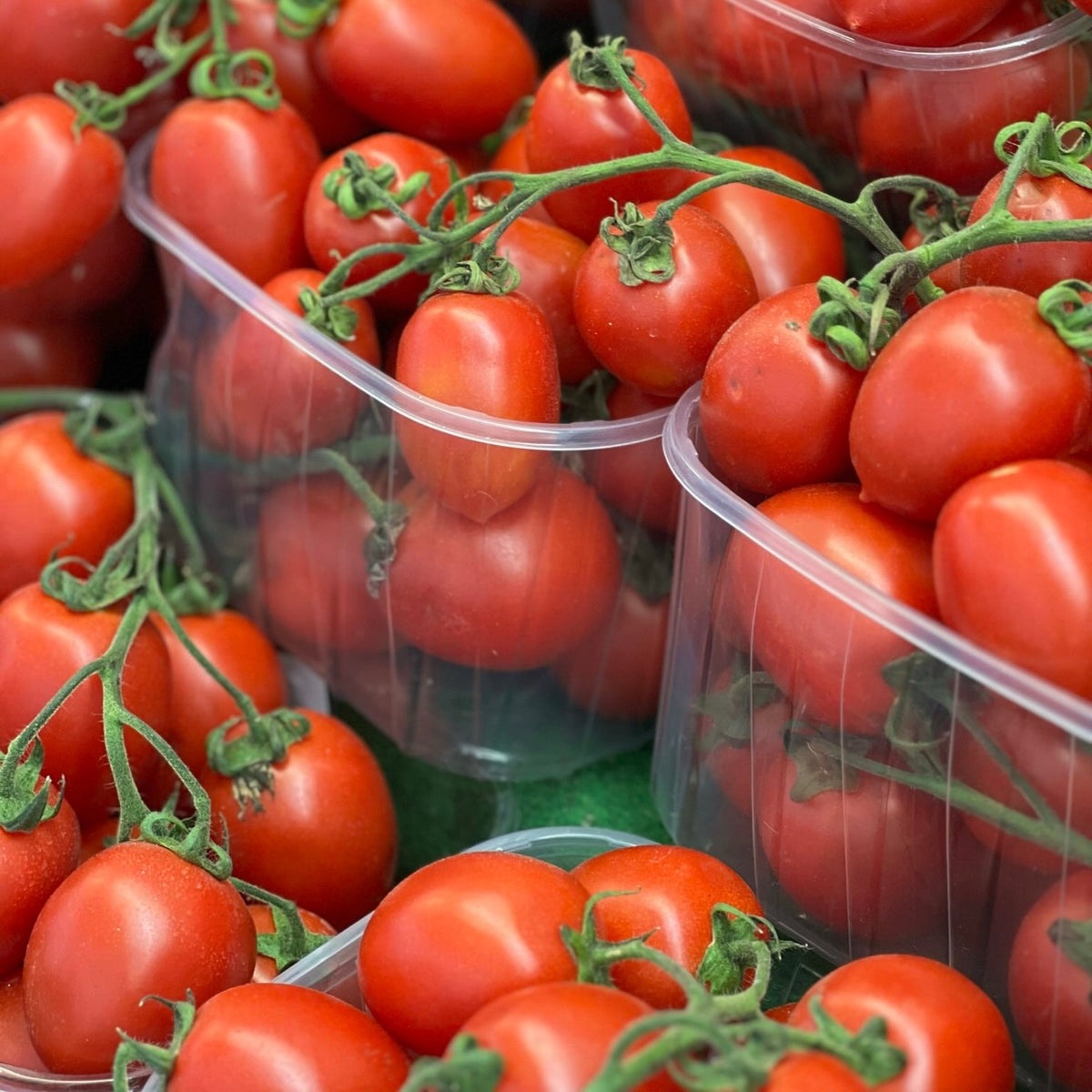 Tomato Vine Leaf Scented Candle - The Finishing Store South Africa